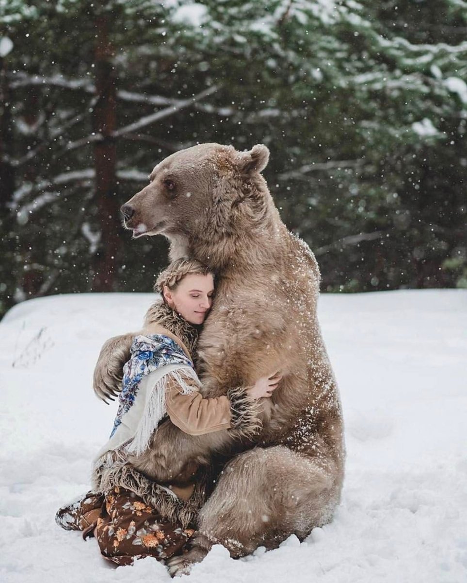 Юрий Пантелеенко медведь Степан