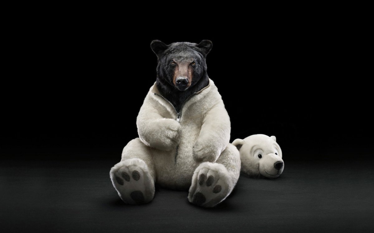 Волки охотятся стаей