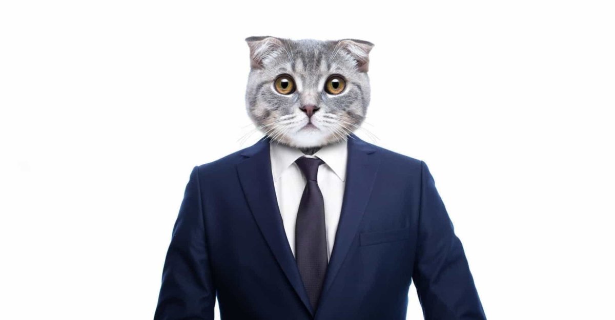 Кот в пиджаке