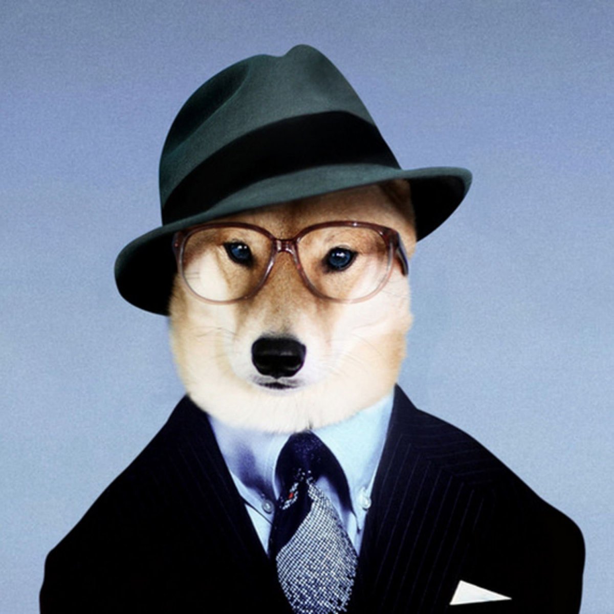 Собака в деловом костюме