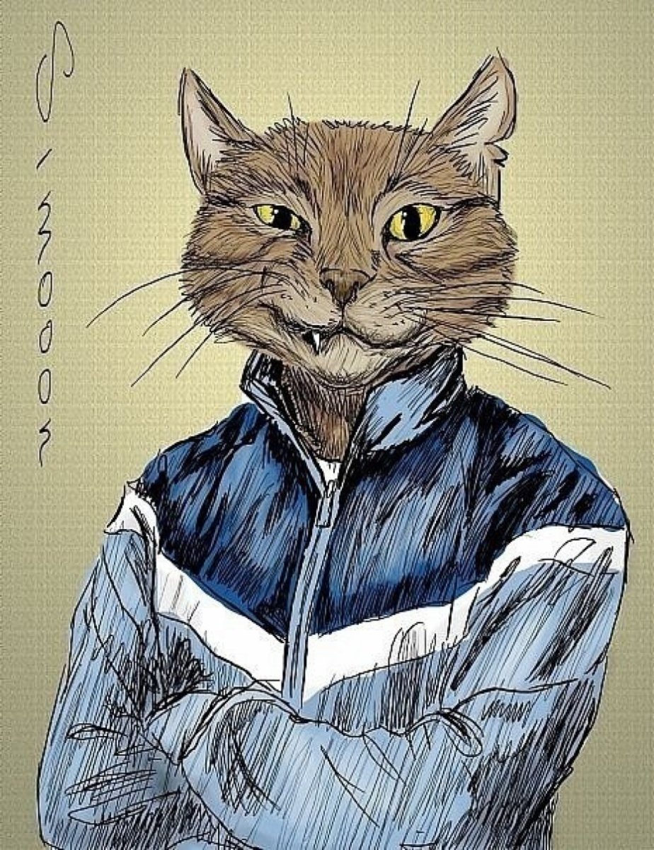 Кот в человеческой одежде