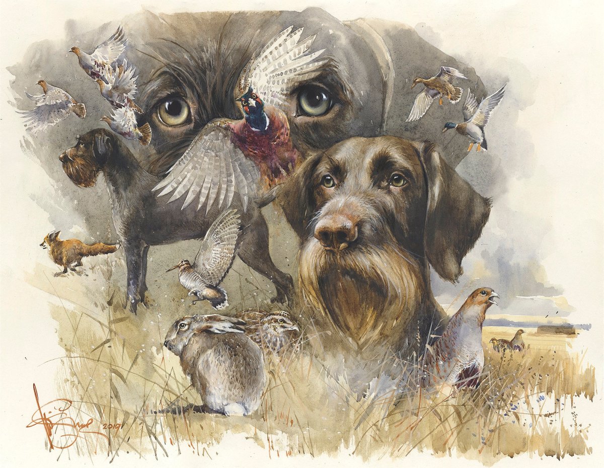 Тату дратхаар