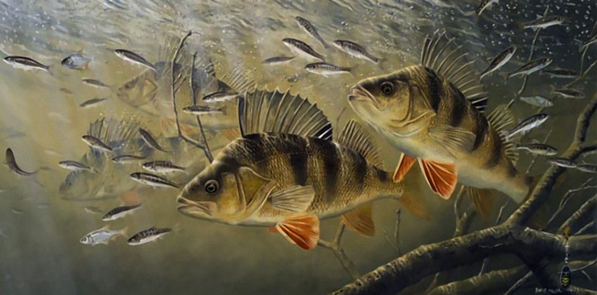 Я В пруду живу ЖИРЕЮ переставьте