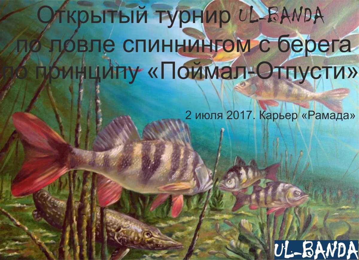 Сиамский Императорский Карп