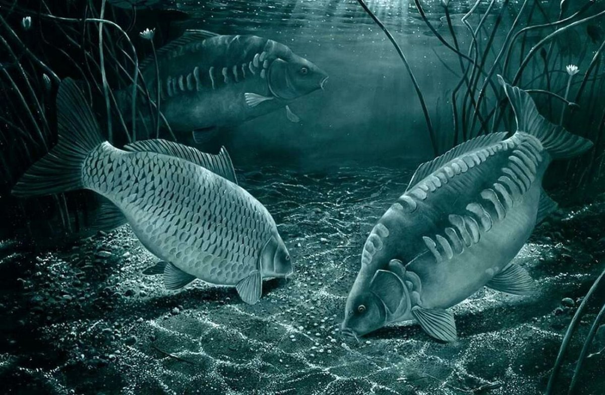 Озеро Sameranger в Тироле Австрия