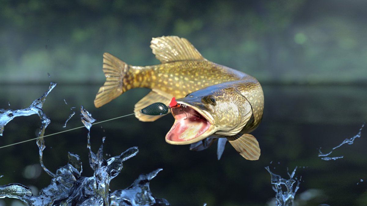 Рыба на столе