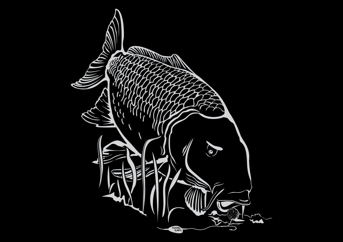 Наклейка карпфишинг на авто