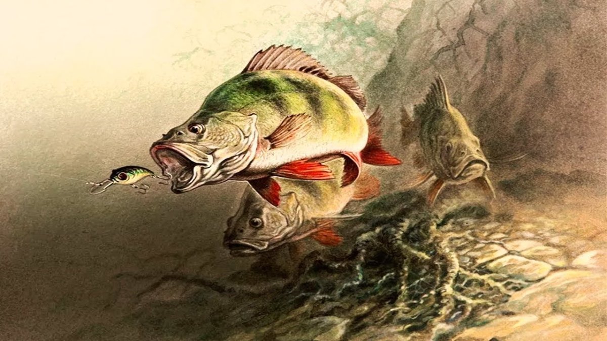 Смешная рыба арт