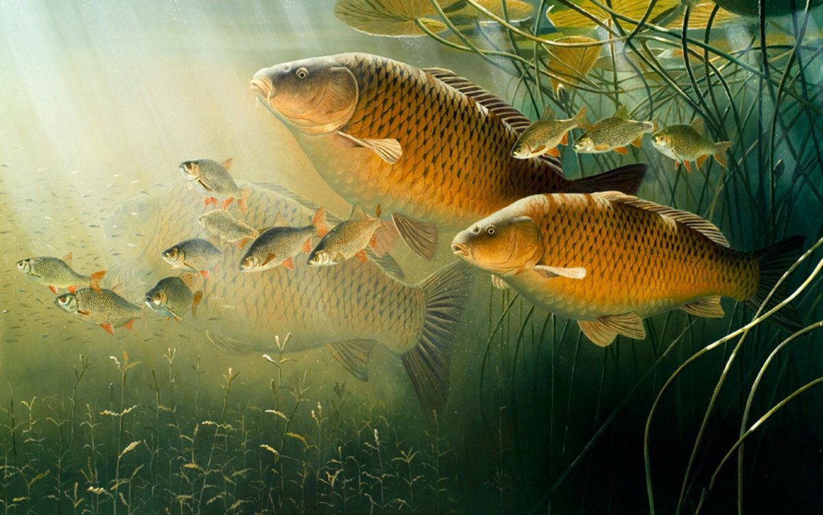 Карп КАРПОЛОВ 8 июня