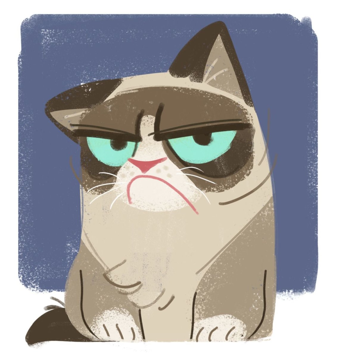 Недовольный кот арт