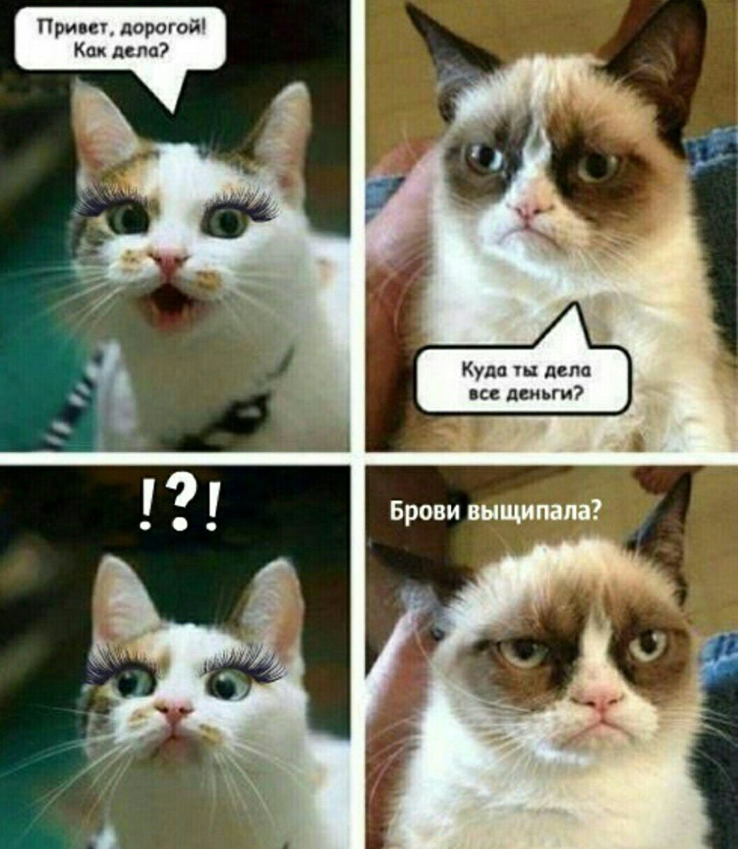 Куда ты дела все деньги