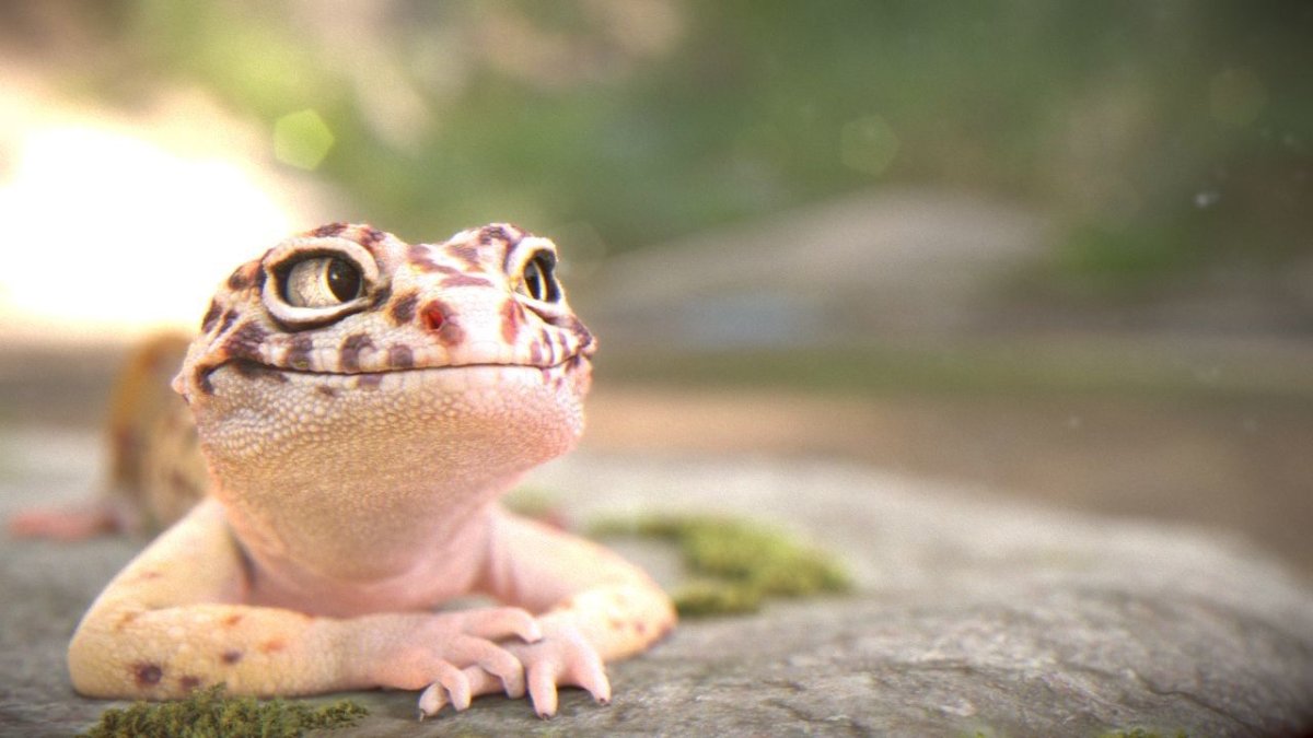 Геккон эублефар улыбается