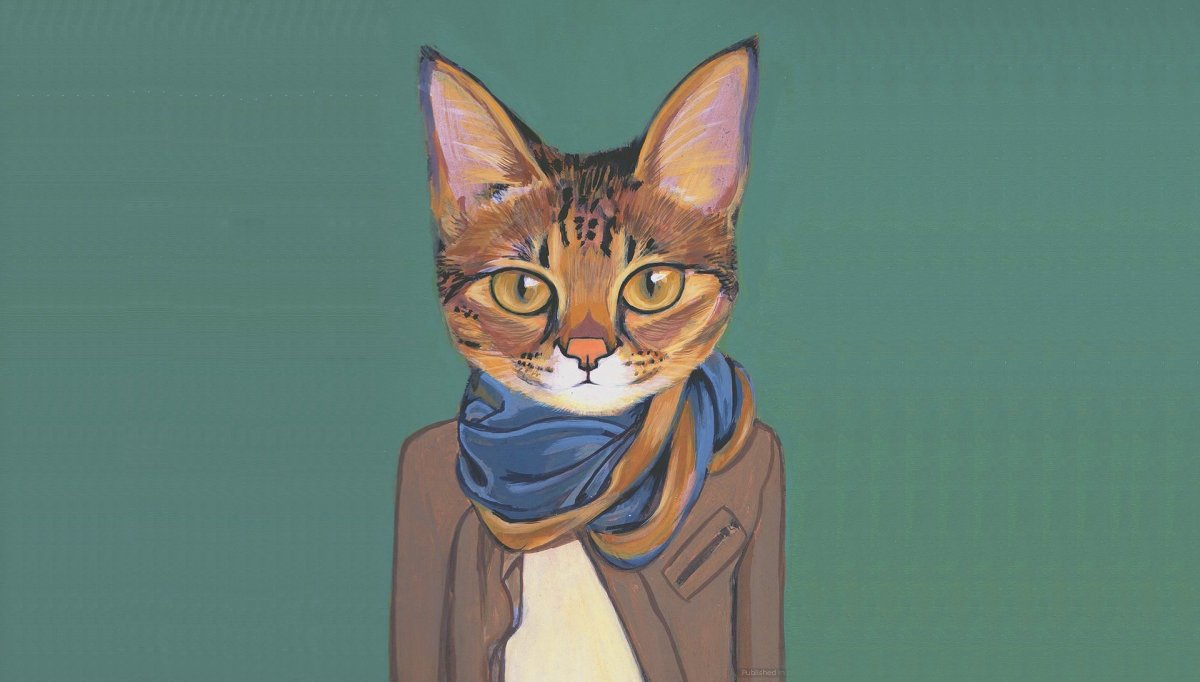 Коты в одежде нарисованные