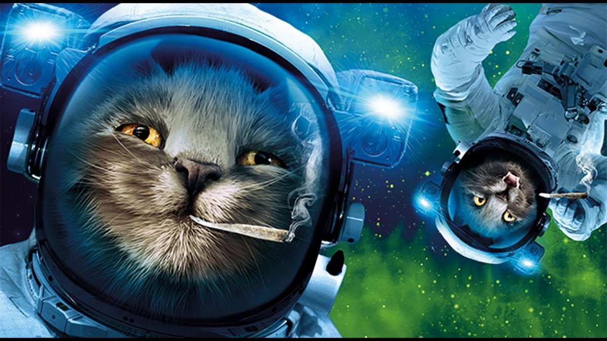 Кот космонавт арт