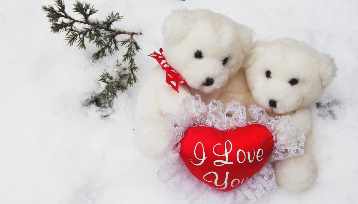 Красивые мишки