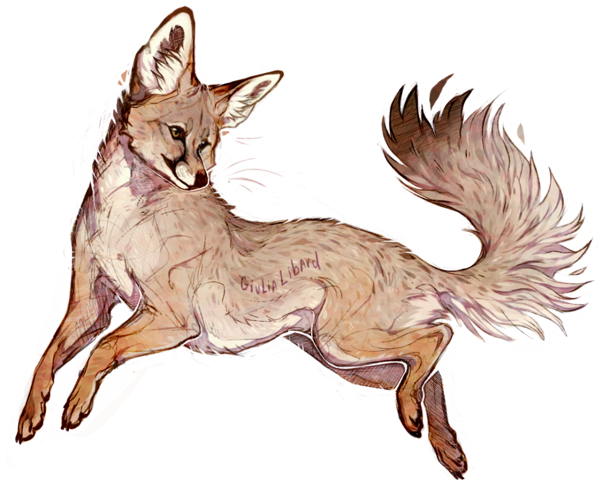 Волк и Волчонок со стрелами