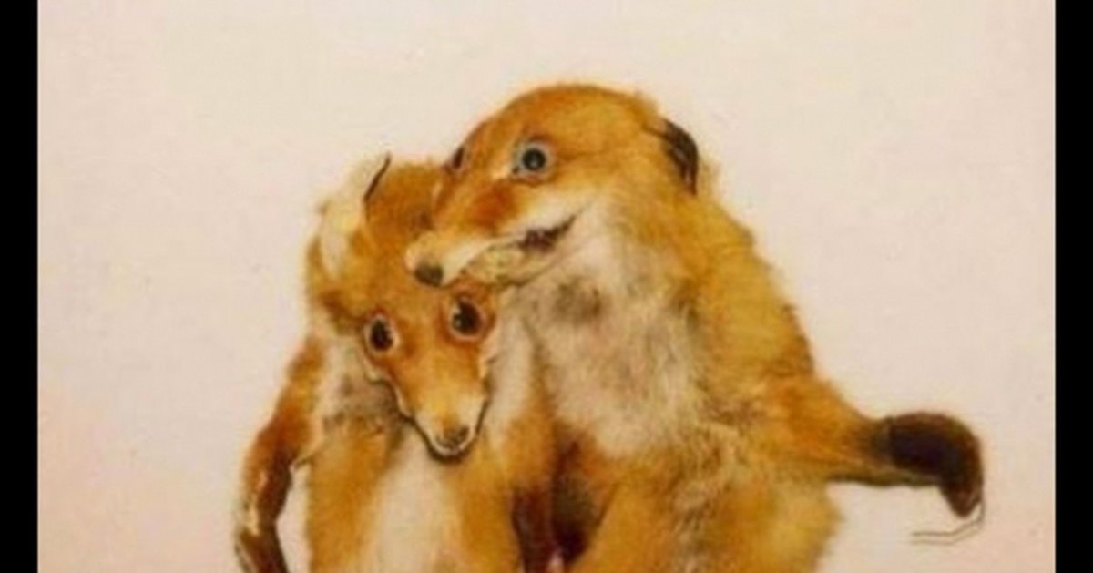 Смешные чучела животных