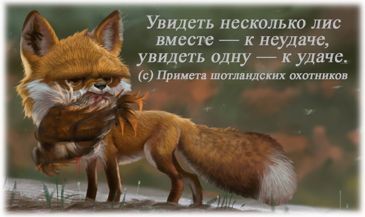 Что ест лиса