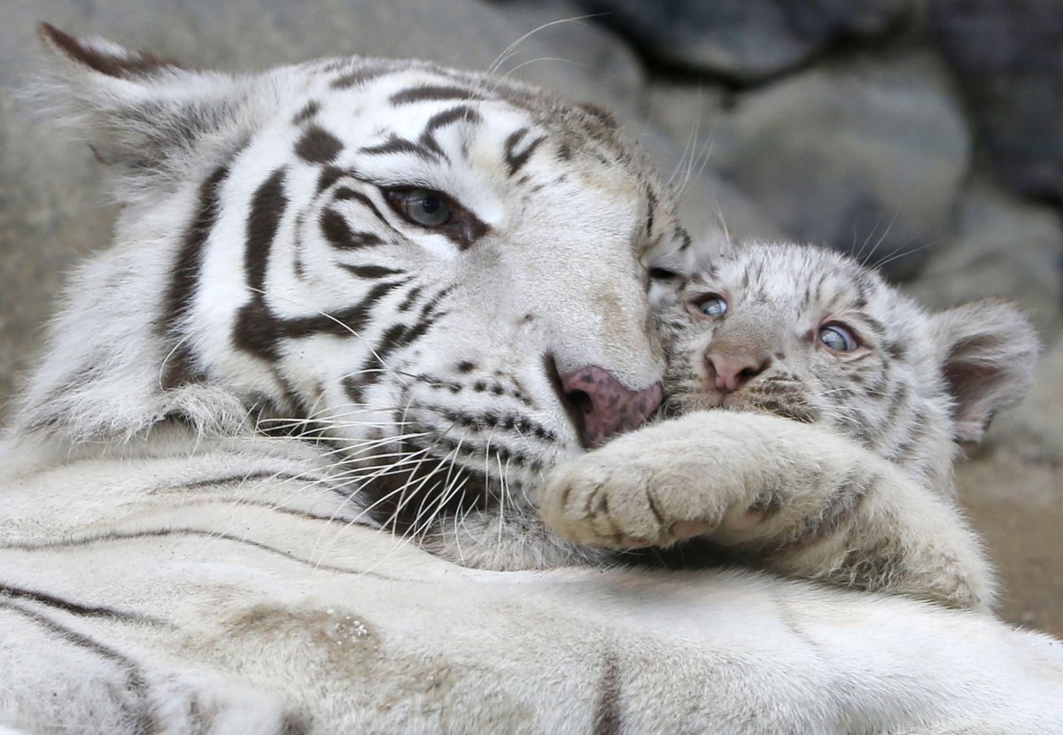 Гаргасов Андрей