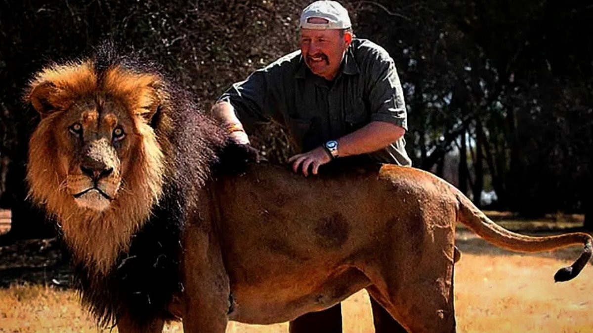 Берберийский Лев ареал