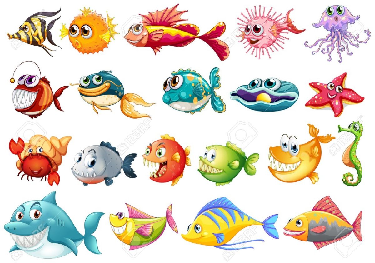 Красивые плоские рыбы