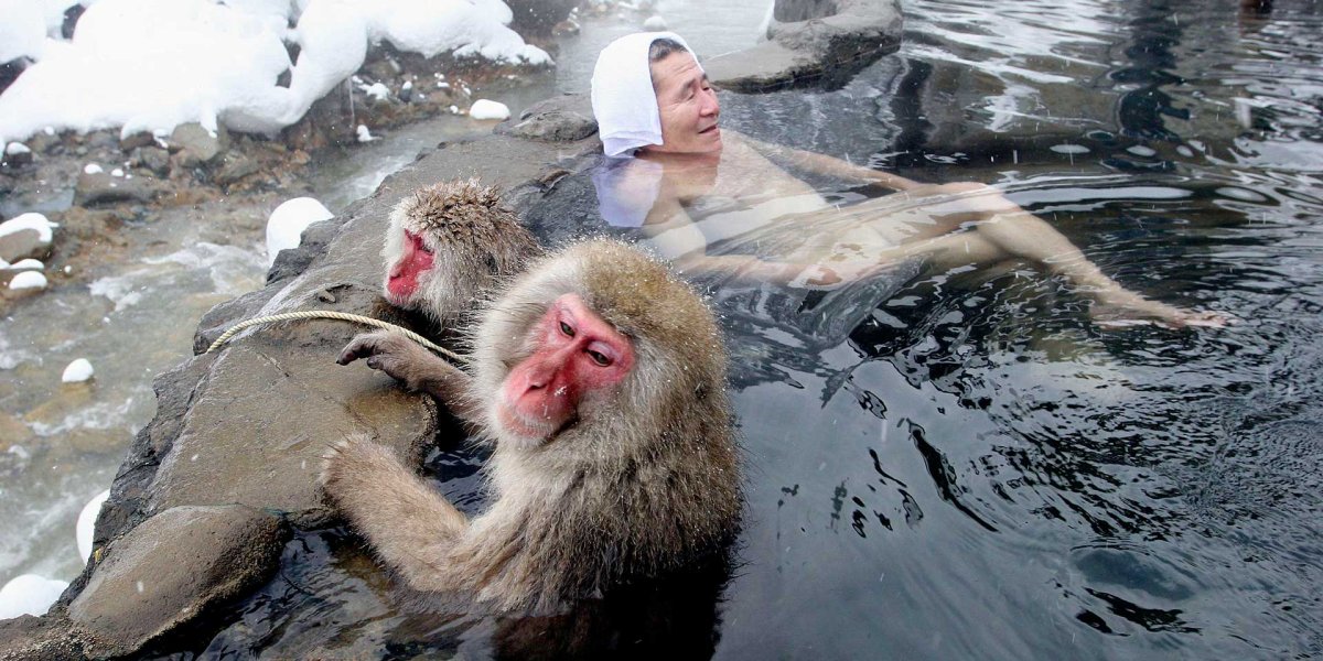 Обезьяна медитирует в воде