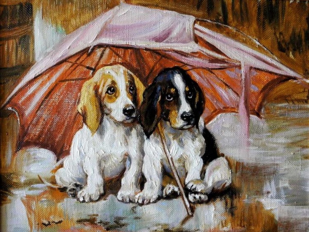 Бездомные животные в снегу