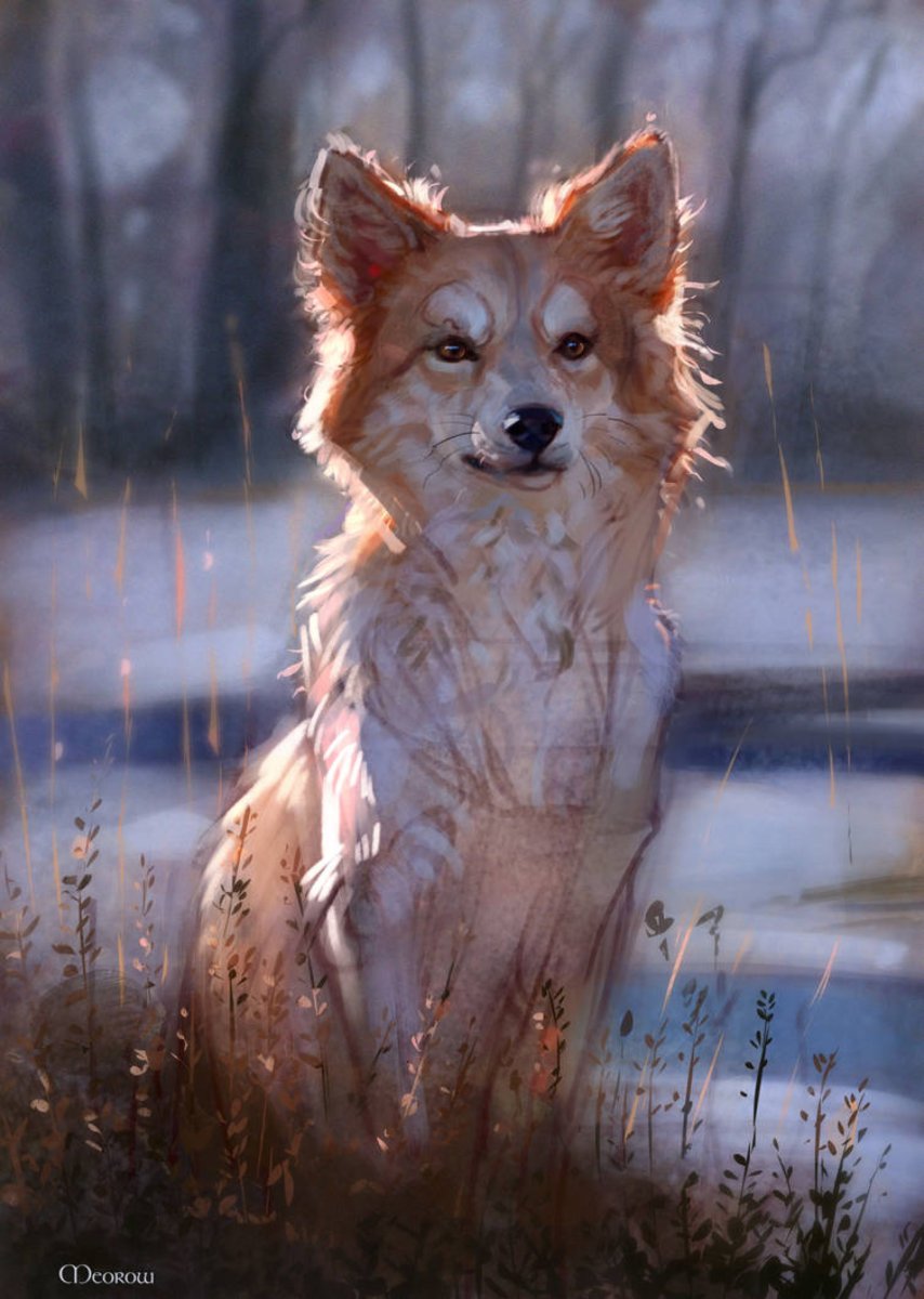 Собака под дождем