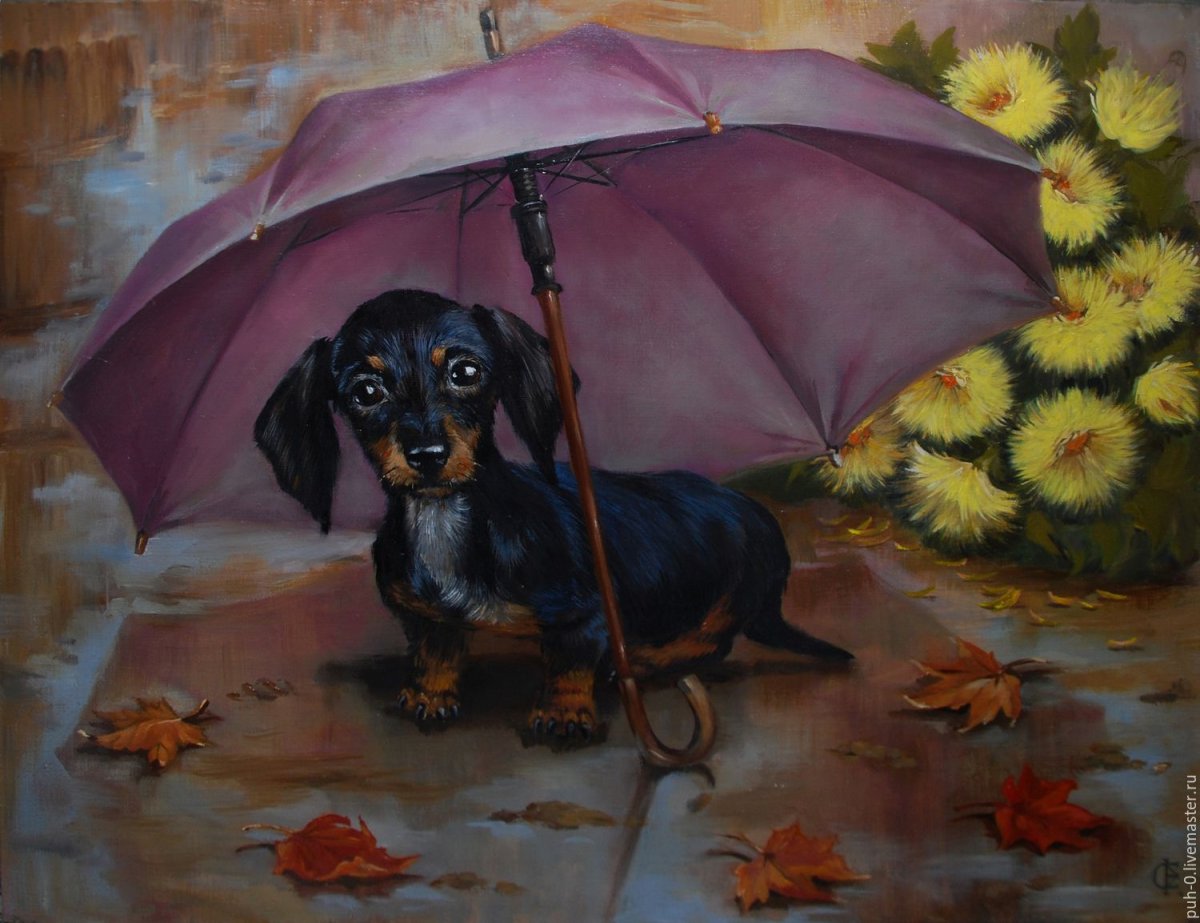 Животные под дождем