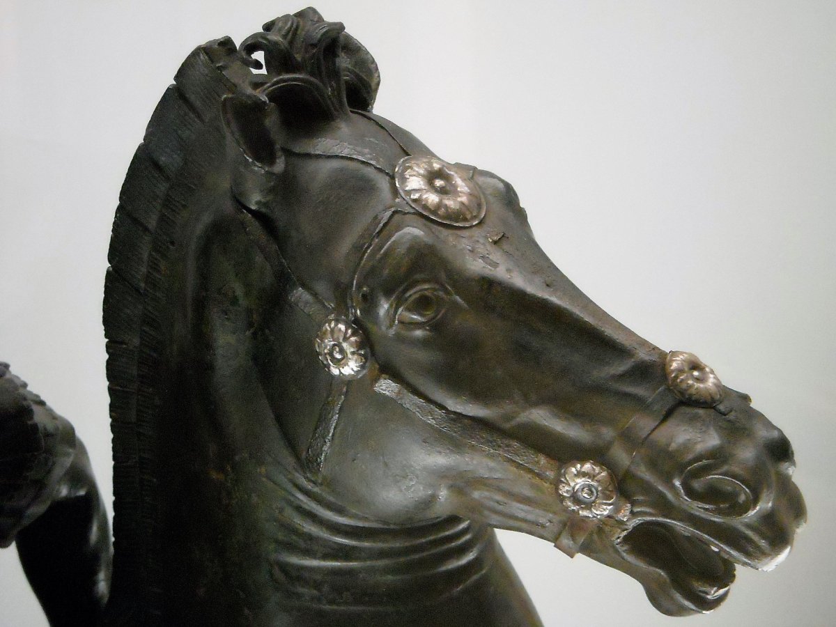 Буцефал конь Александра Македонского