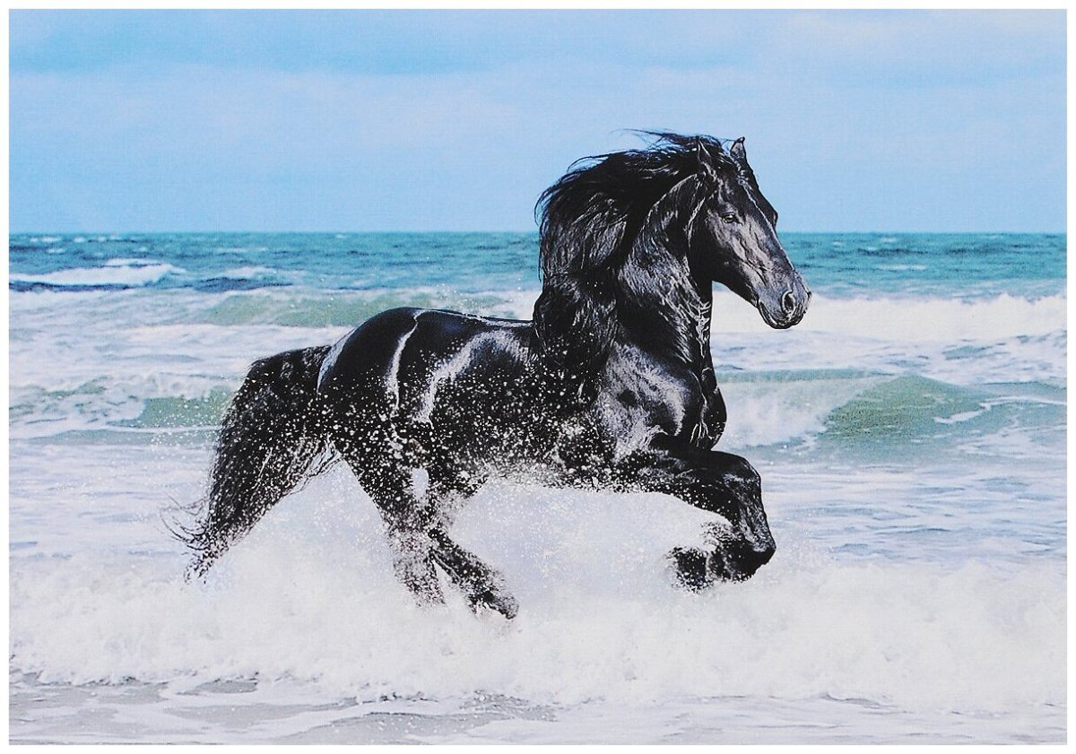 Алмазная мозаика черный конь