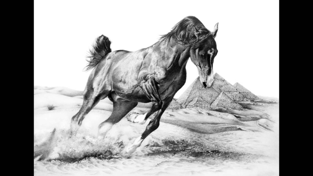 Лошадь гравюра