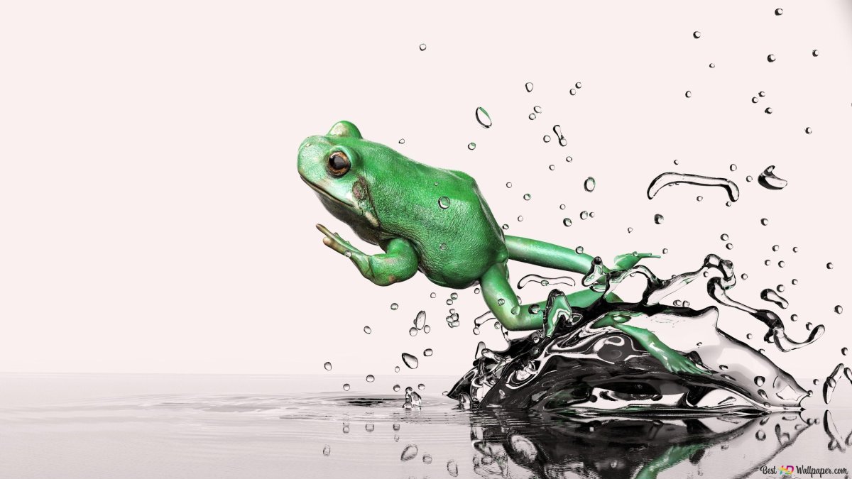 Лягушка прыгает из воды