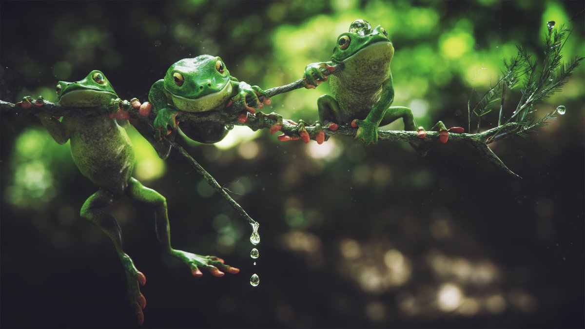 Лягушка с красными губами