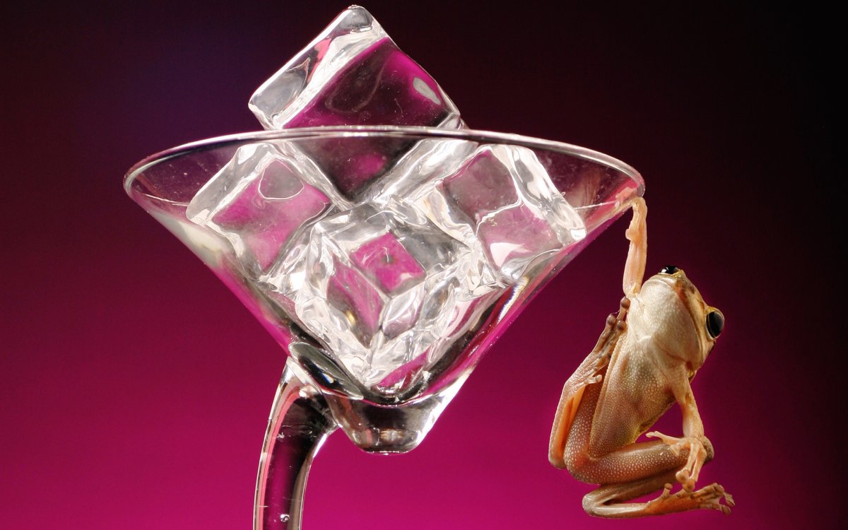 Заставки на рабочий стол красивые необычные