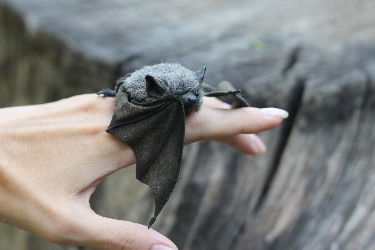 Летучая мышь Bumblebee