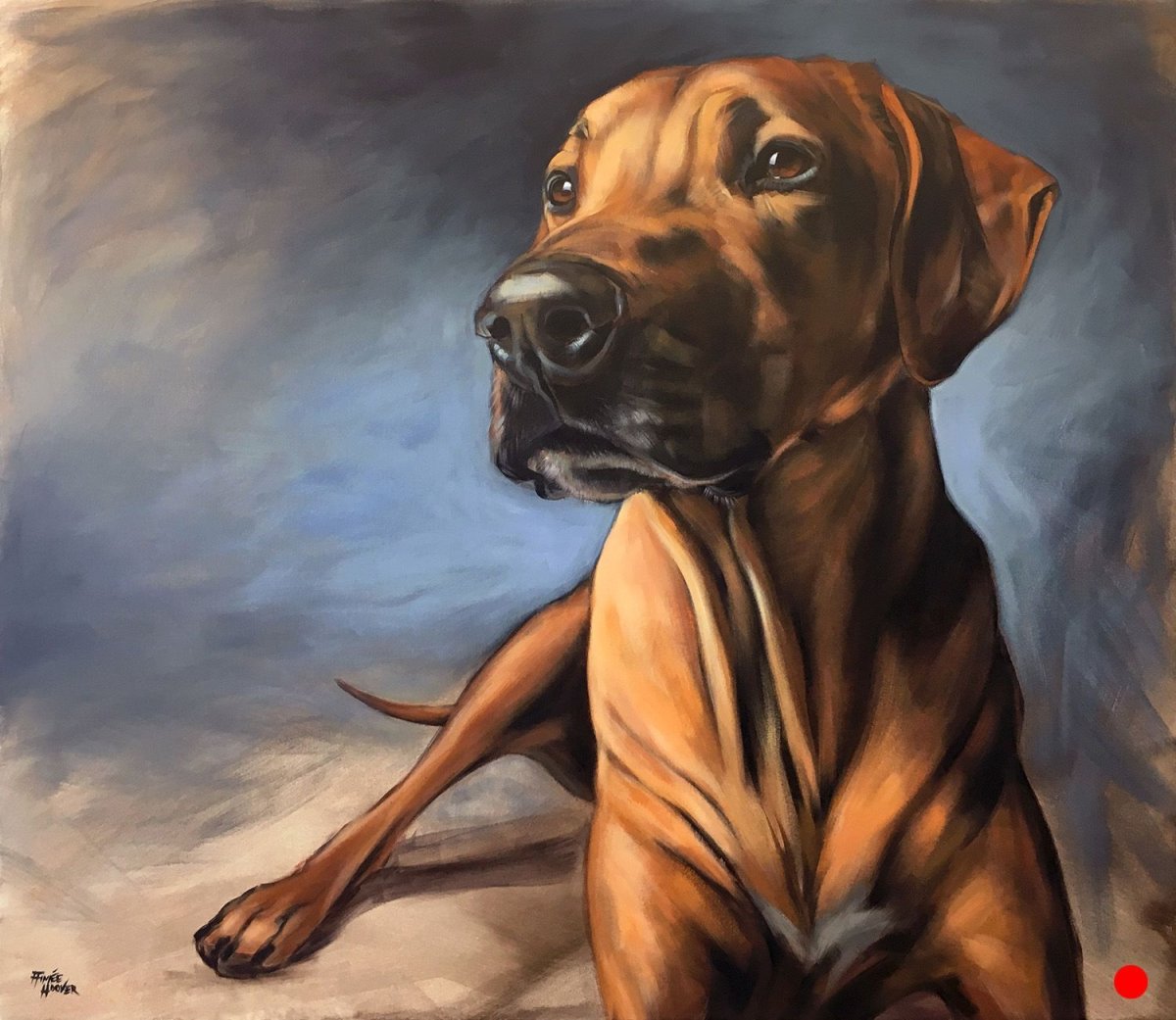 Королевский риджбек