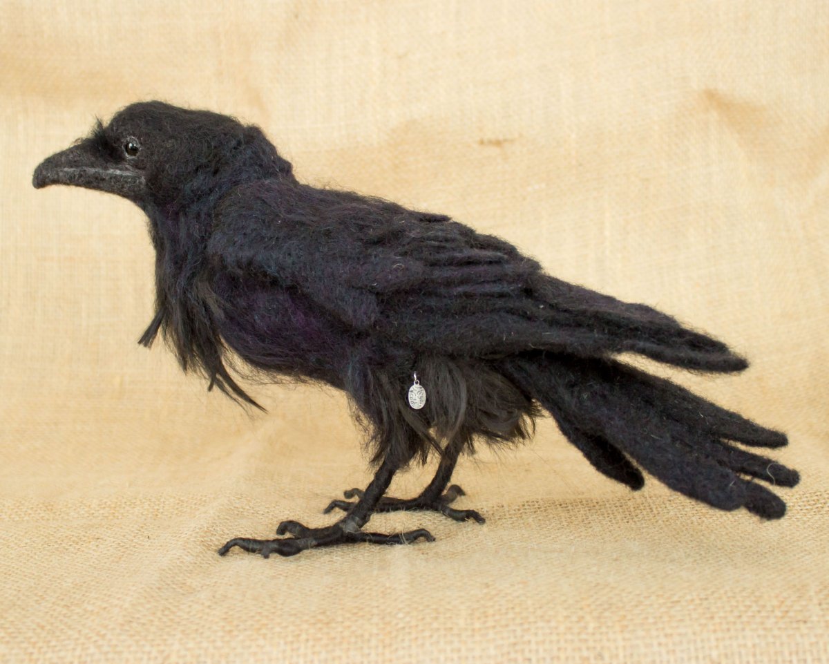 Странная ворона