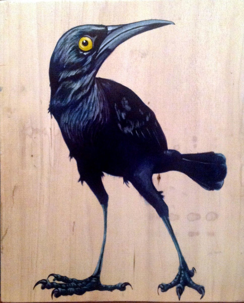 Ворон и ворона