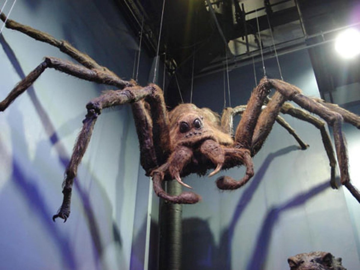 Арагог паук-Акромантул