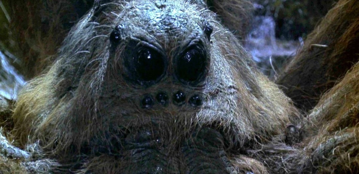 Арагог Гарри Поттер