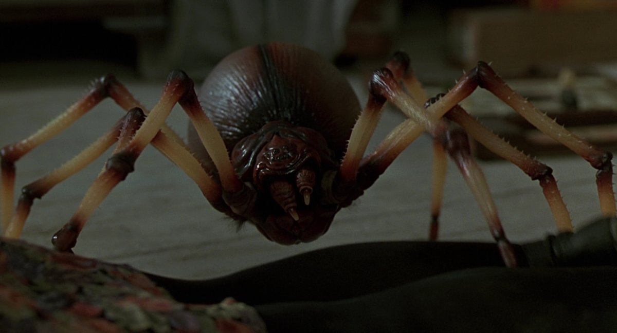 Плюшевый паучок Лукас