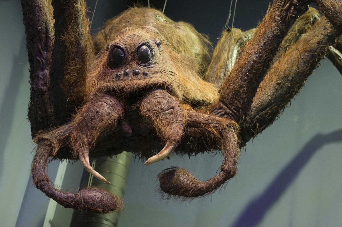 Паук Арагог из Гарри Поттера