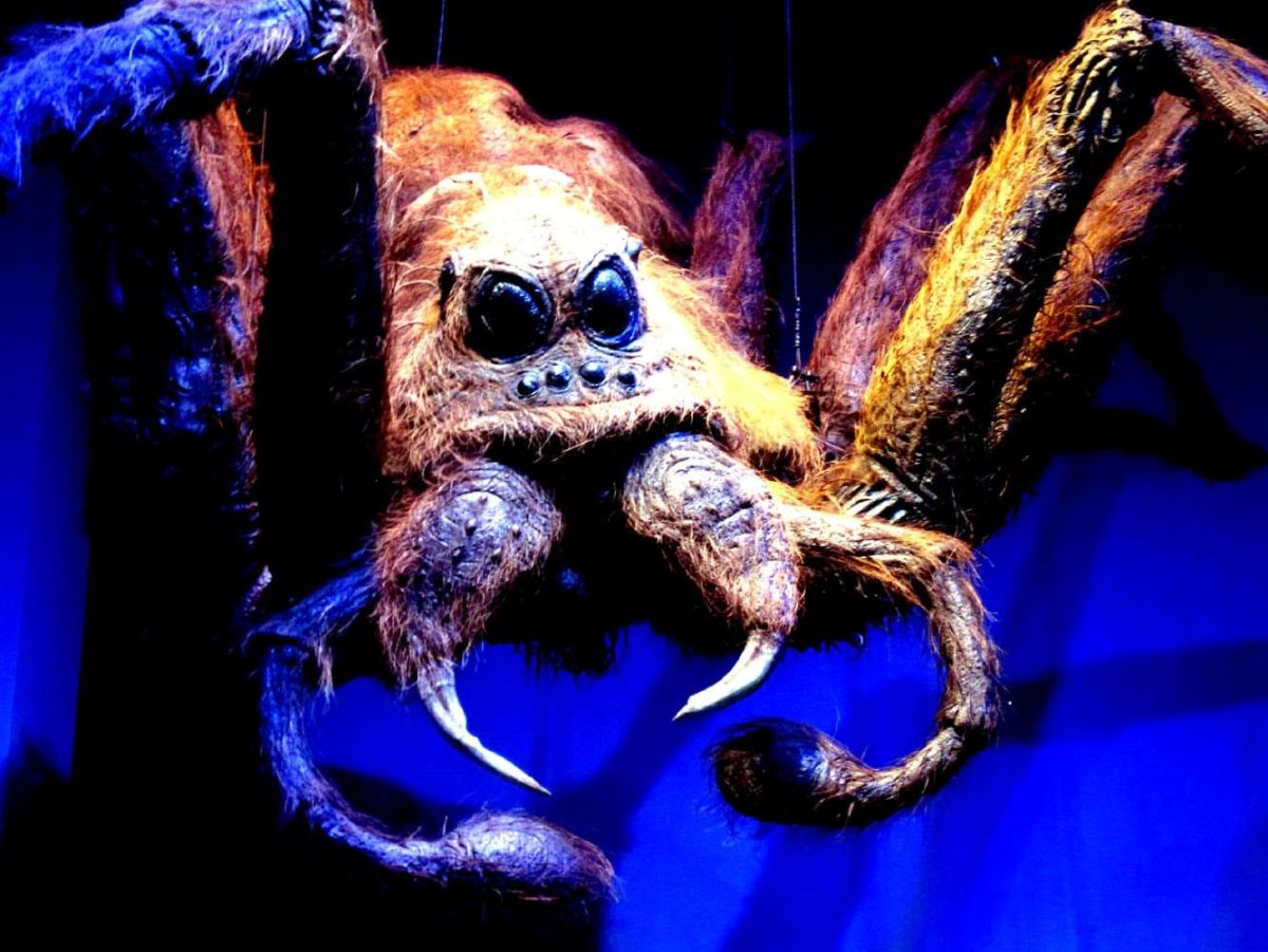 Гигантский паук ДНД