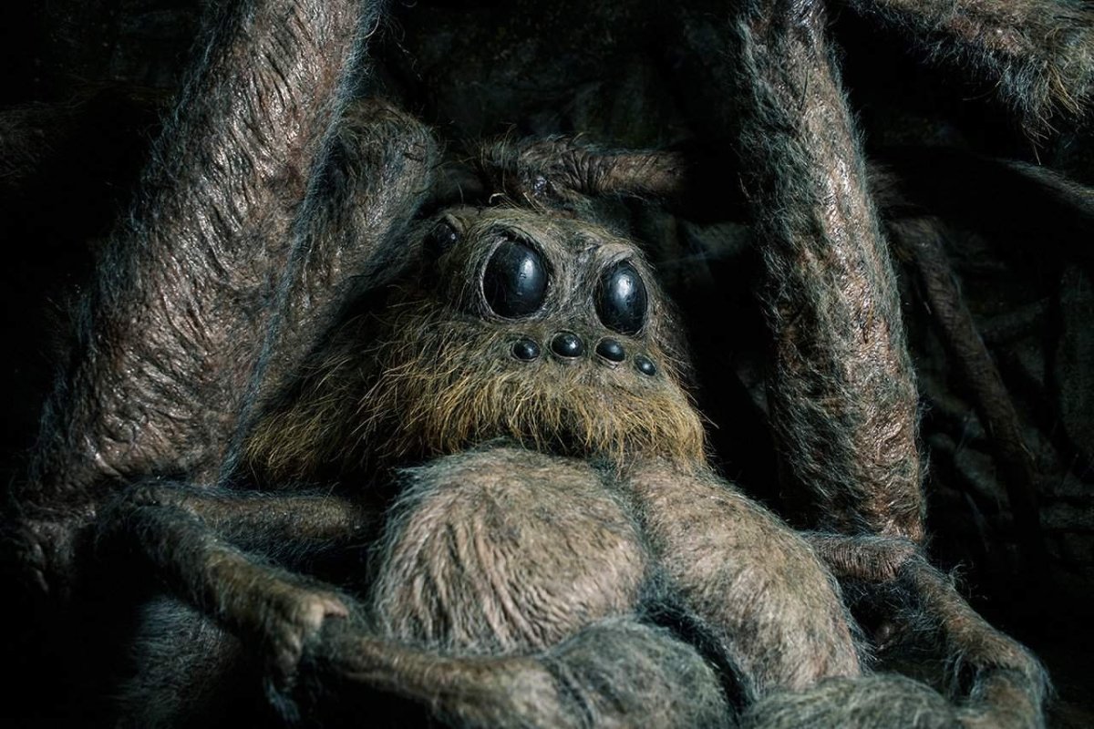 Акромантул Арагог