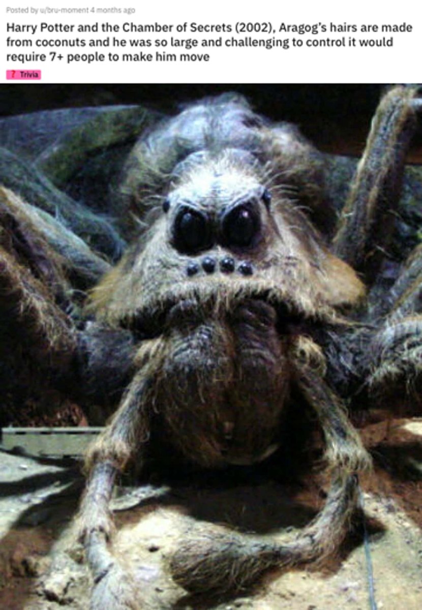 Гарри Поттер паук Арагог