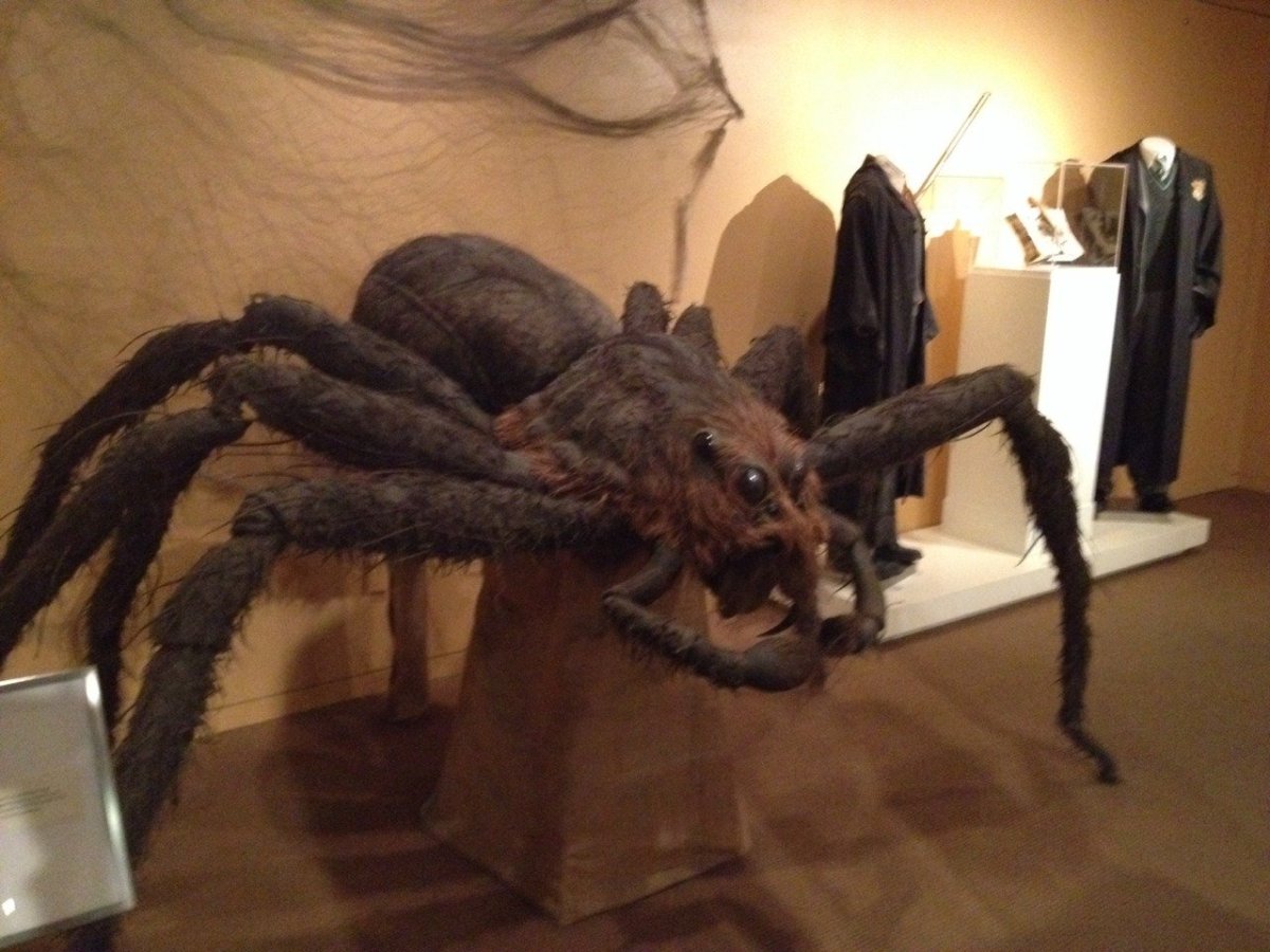 Арагог Гарри Поттер