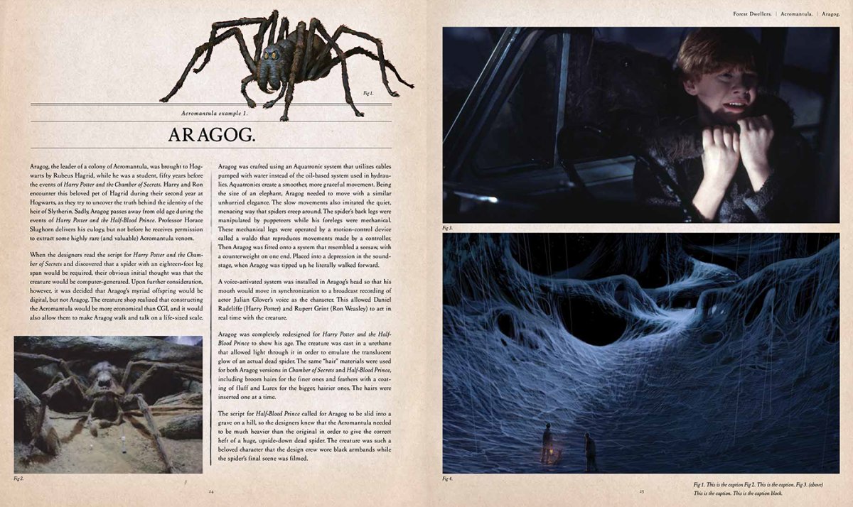 Книга фантастические существа Гарри Поттер Акромантул