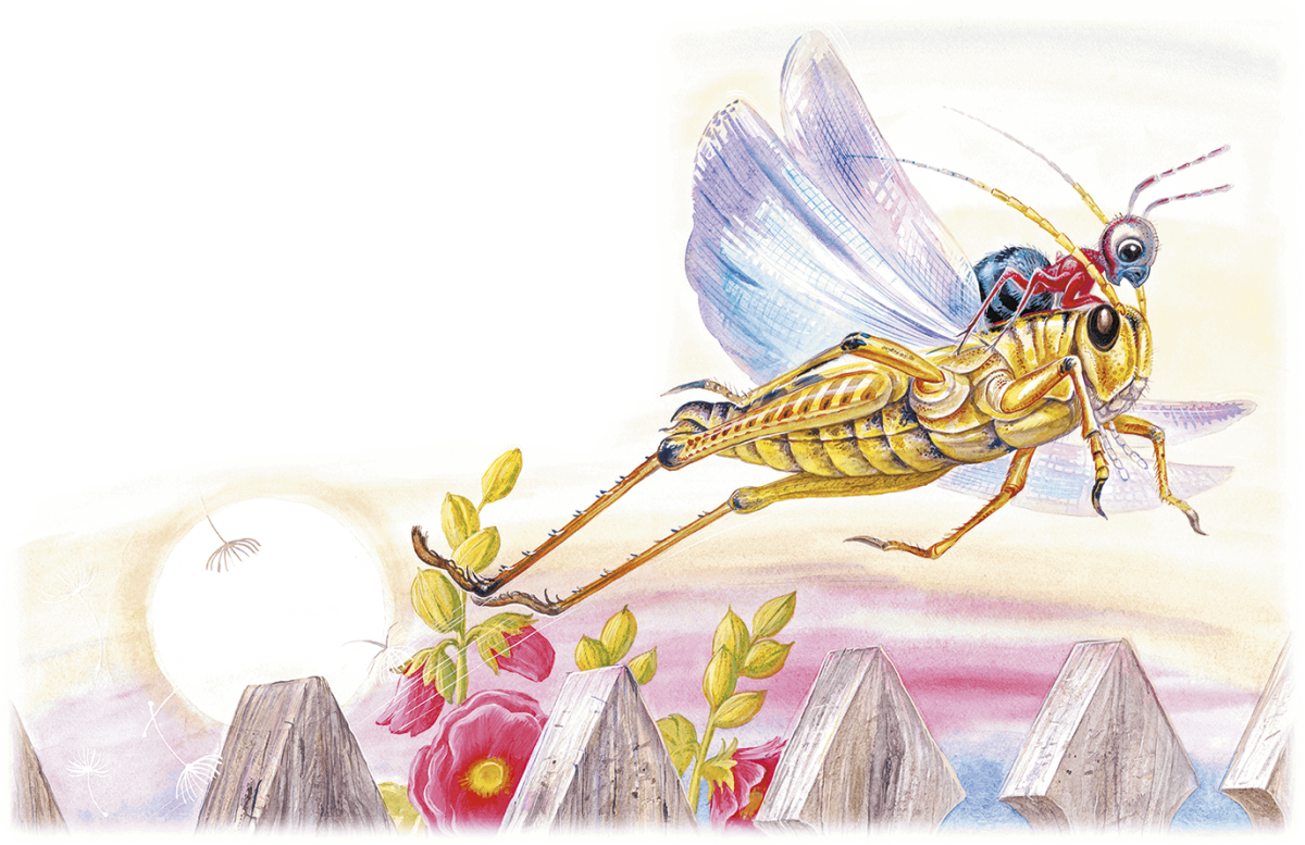 Бианки в. в. "приключения муравьишки"