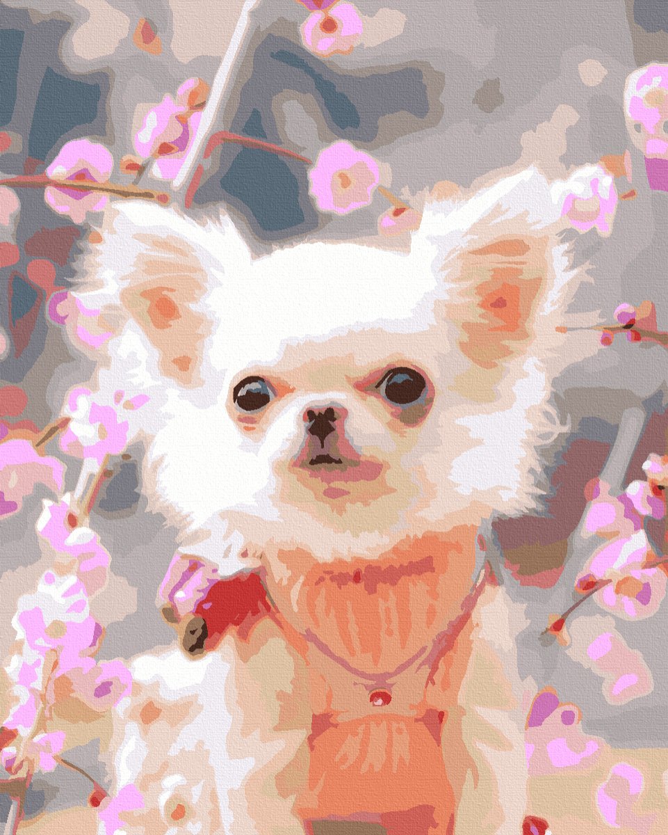 Милые собачки